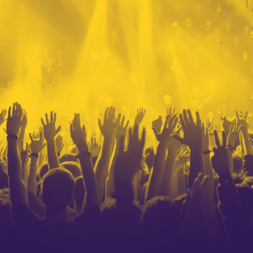 Shows e Festivais